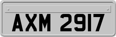 AXM2917