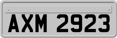 AXM2923