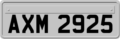 AXM2925