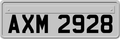 AXM2928