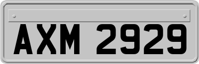 AXM2929