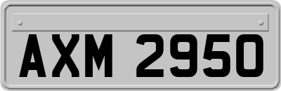 AXM2950