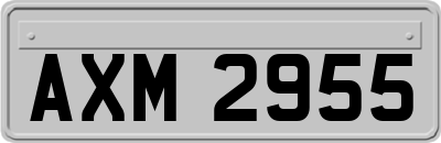 AXM2955