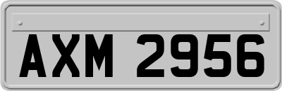 AXM2956