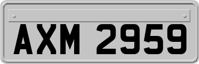 AXM2959