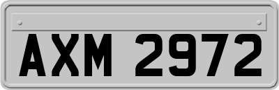 AXM2972