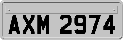 AXM2974