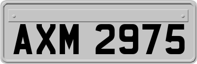 AXM2975