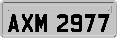 AXM2977