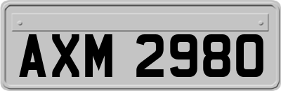 AXM2980