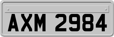AXM2984