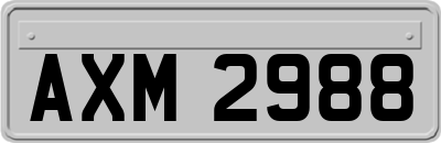 AXM2988
