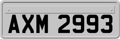 AXM2993