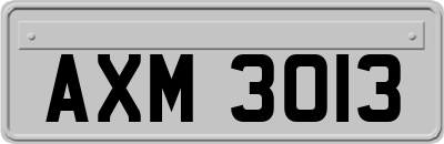 AXM3013