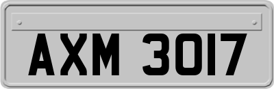 AXM3017