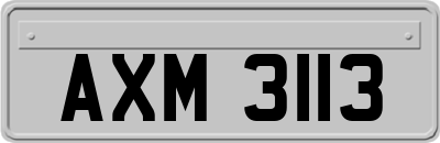 AXM3113