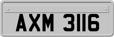 AXM3116