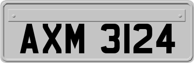 AXM3124
