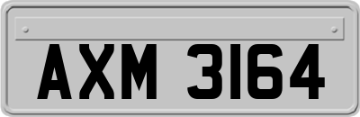 AXM3164
