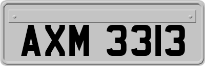 AXM3313