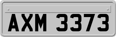 AXM3373