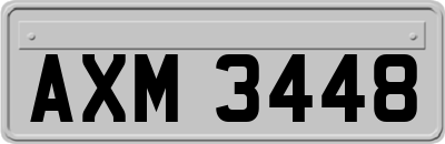 AXM3448