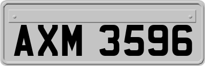AXM3596