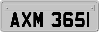 AXM3651