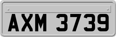 AXM3739