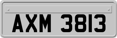 AXM3813