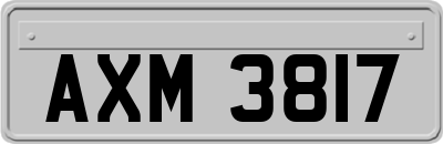 AXM3817