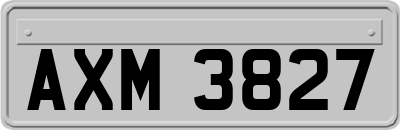 AXM3827