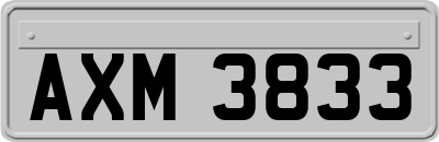 AXM3833