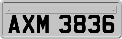 AXM3836