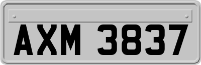 AXM3837