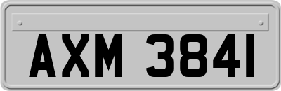 AXM3841