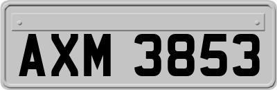 AXM3853