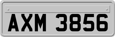 AXM3856