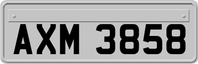 AXM3858