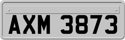 AXM3873