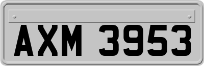 AXM3953