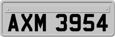 AXM3954