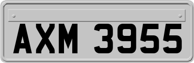 AXM3955