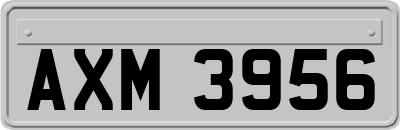 AXM3956