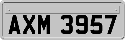 AXM3957