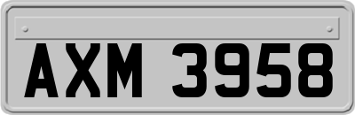 AXM3958