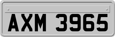 AXM3965