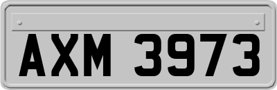 AXM3973