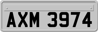 AXM3974