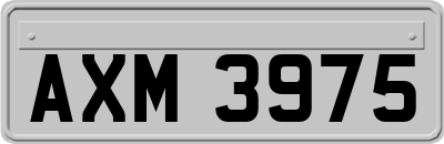 AXM3975
